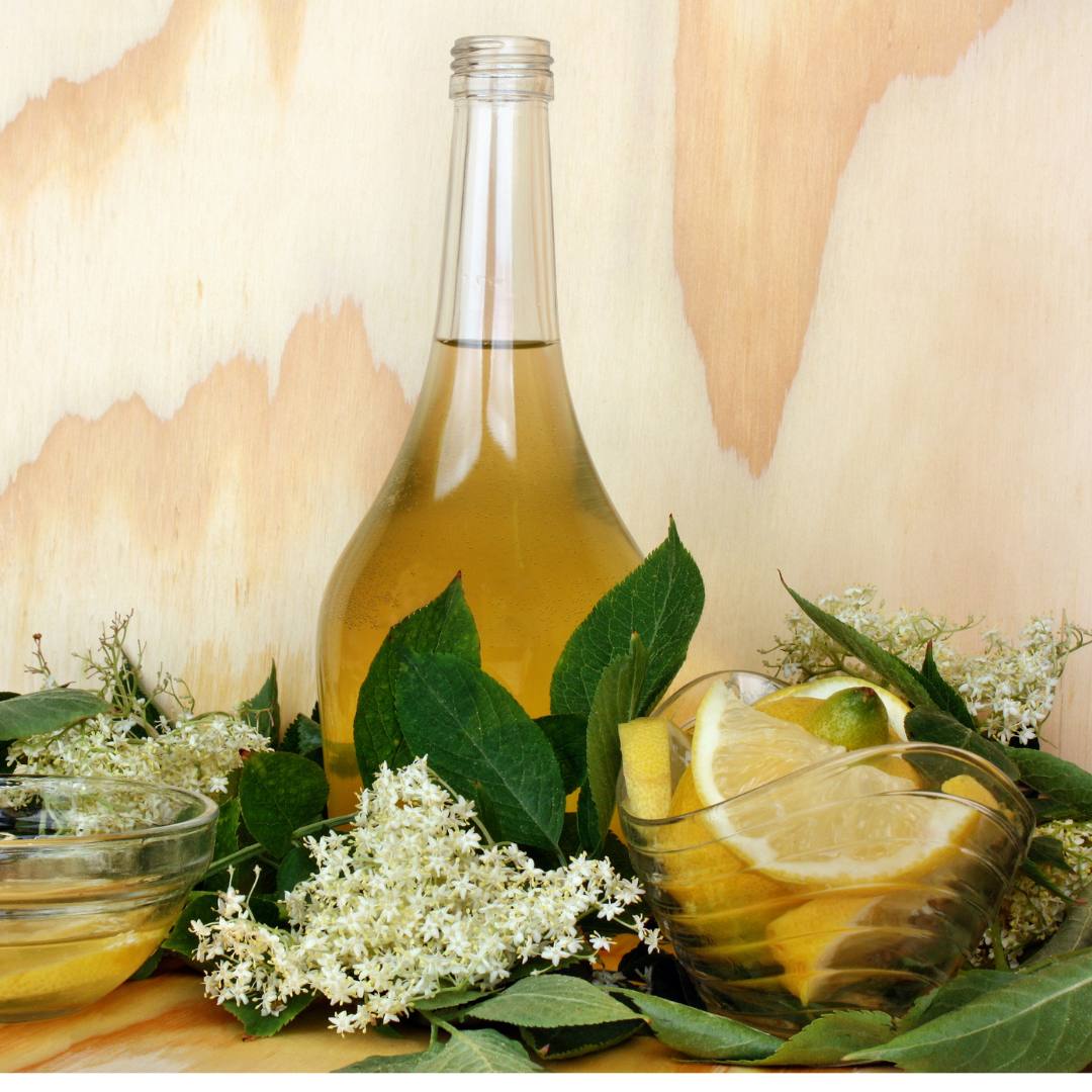 elderflower syrop